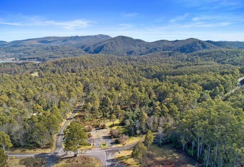 酒店 Cradle Forest Inn