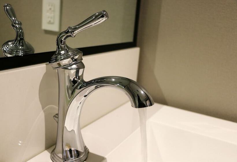 בית מלון כפרי Dream Suites