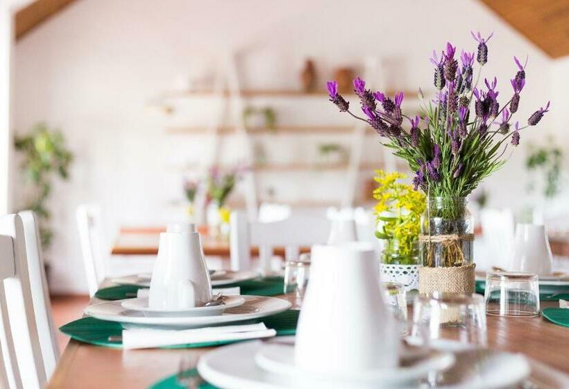 בית מלון כפרי Herdade Da Sanguinheira