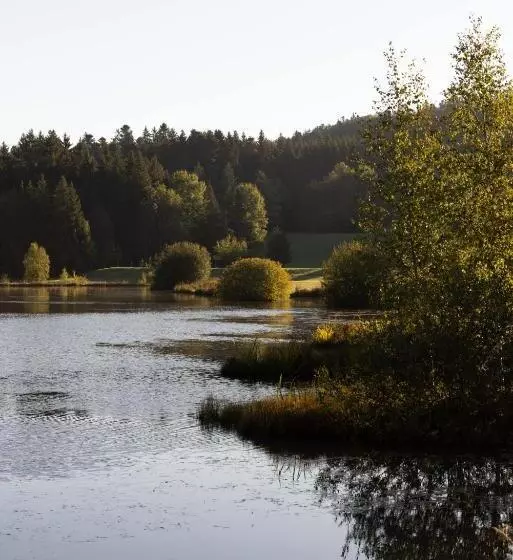 Hotelli Hôtel L Etang Du Moulin By Céline