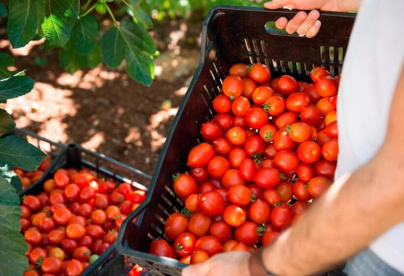 בית מלון כפרי Masseria Salinola