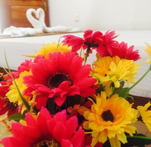 Pensão Disna Homestay