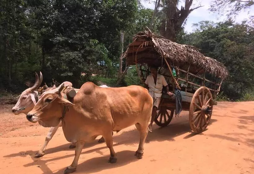 Majatalo Disna Homestay