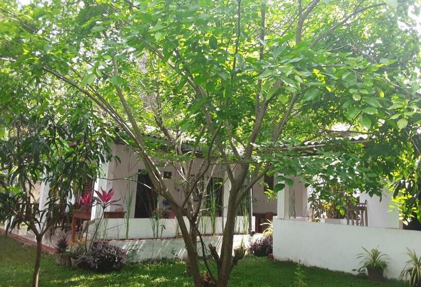 Pensão Disna Homestay