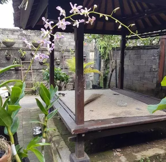 ペンション Mawar Homestay Canggu