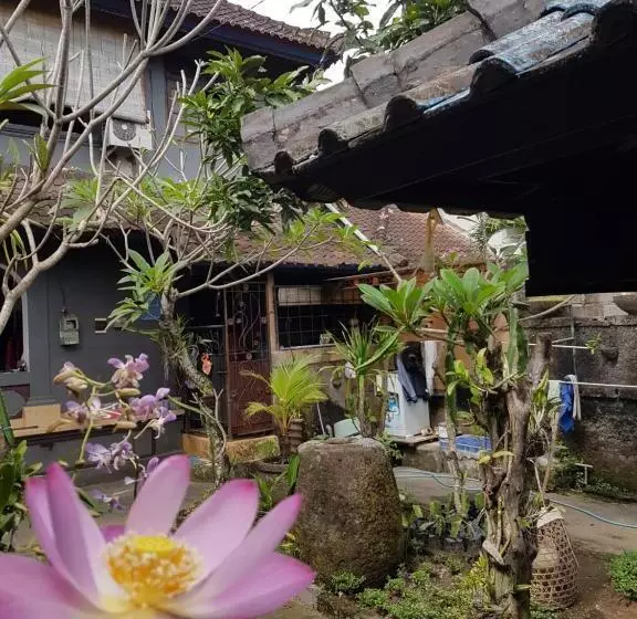 ペンション Mawar Homestay Canggu