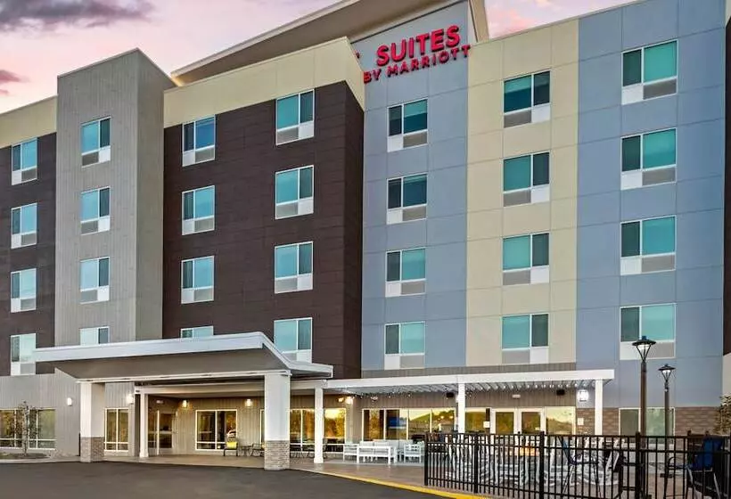 ホテル Towneplace Suites By Marriott Richmond Colonial Heights
