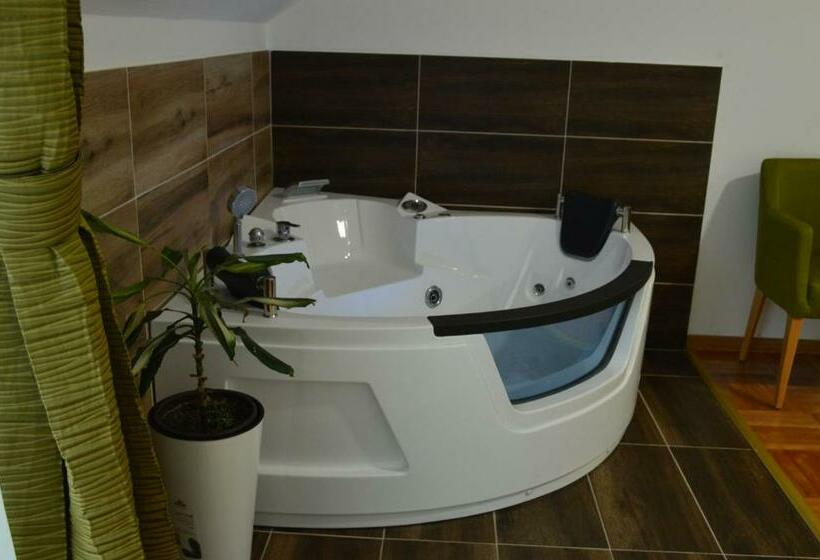 هتل Vila Voždov Konak