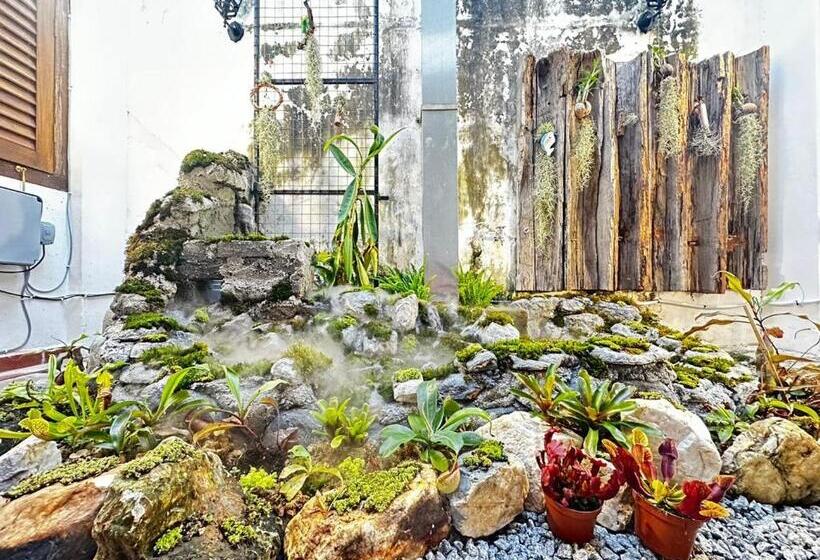 Hotel 19th Century Boutique