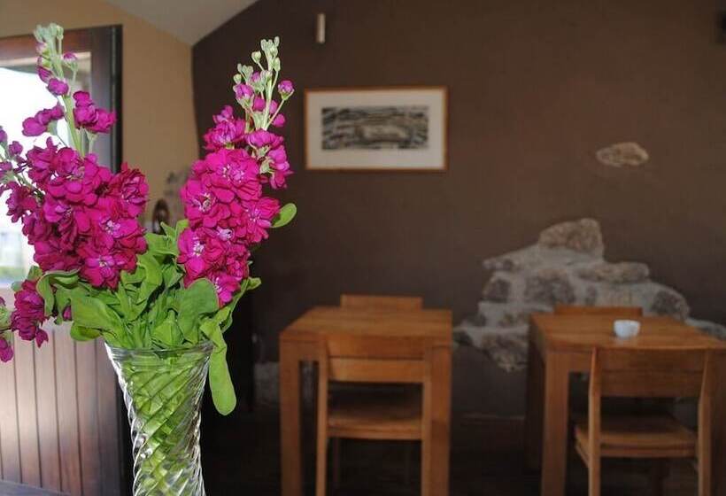 Bed and Breakfast Blas Gwyr