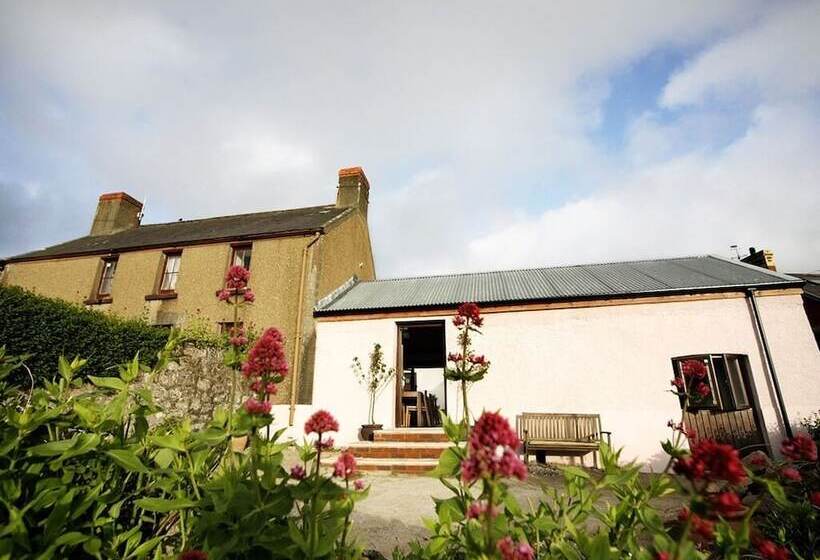 Bed and Breakfast Blas Gwyr