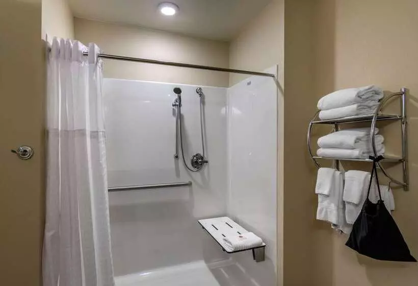 ホテル Comfort Inn South Chesterfield  Colonial Heights