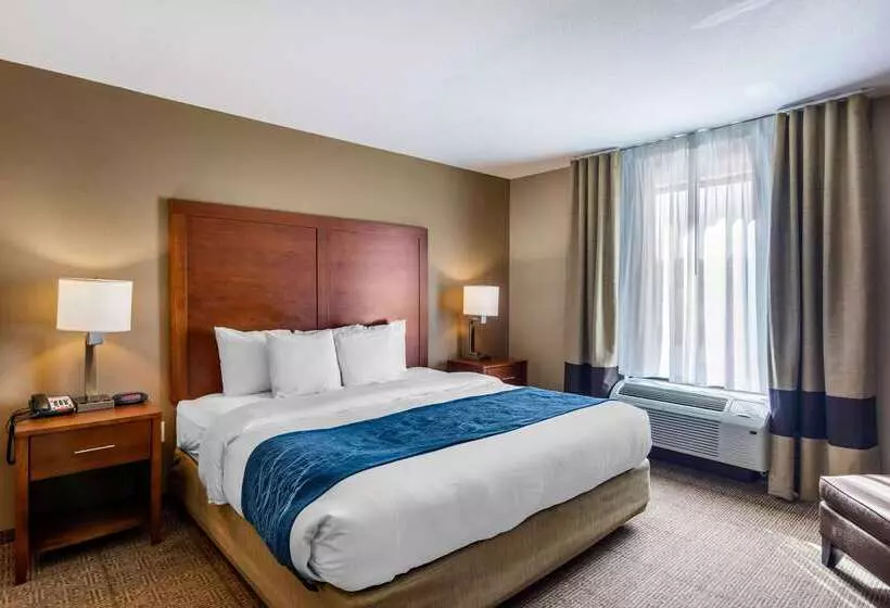 ホテル Comfort Inn South Chesterfield  Colonial Heights