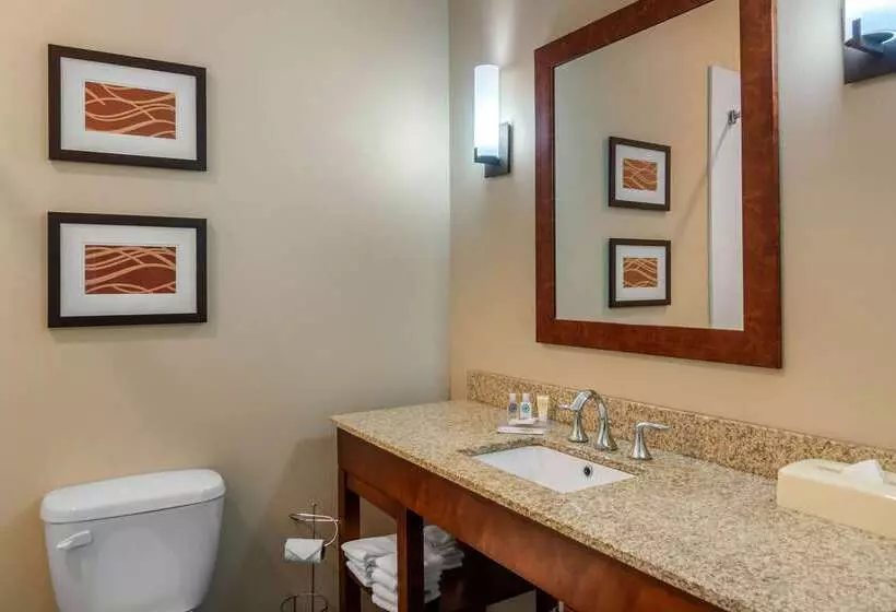 ホテル Comfort Inn South Chesterfield  Colonial Heights