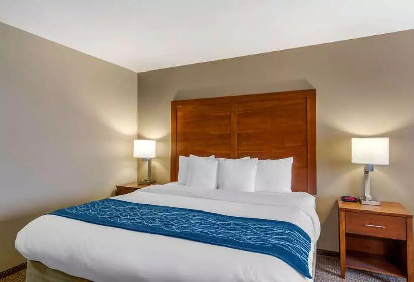 ホテル Comfort Inn South Chesterfield  Colonial Heights
