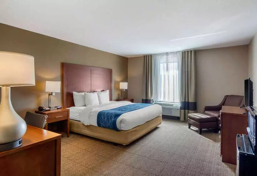 ホテル Comfort Inn South Chesterfield  Colonial Heights