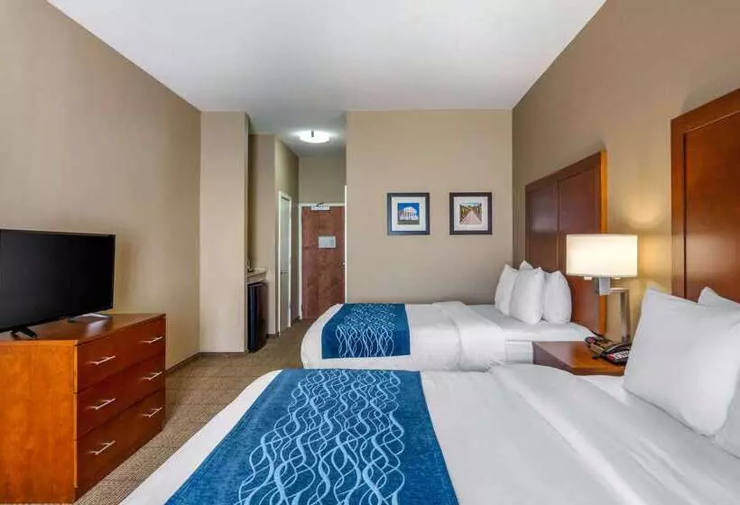 ホテル Comfort Inn South Chesterfield  Colonial Heights