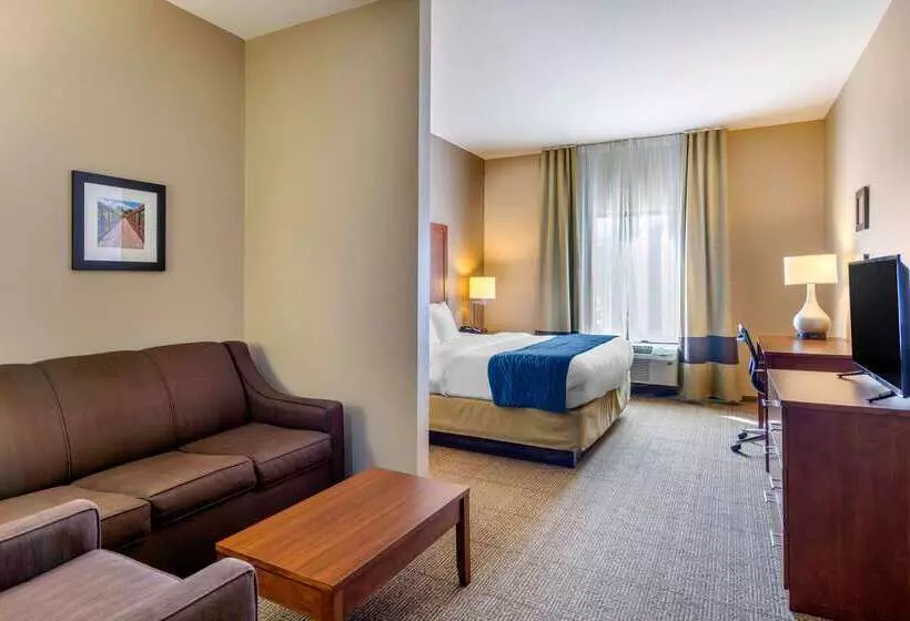 ホテル Comfort Inn South Chesterfield  Colonial Heights