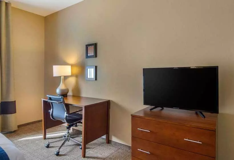 ホテル Comfort Inn South Chesterfield  Colonial Heights