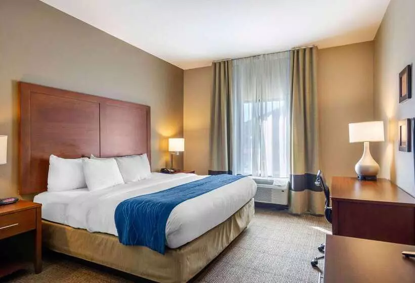 ホテル Comfort Inn South Chesterfield  Colonial Heights