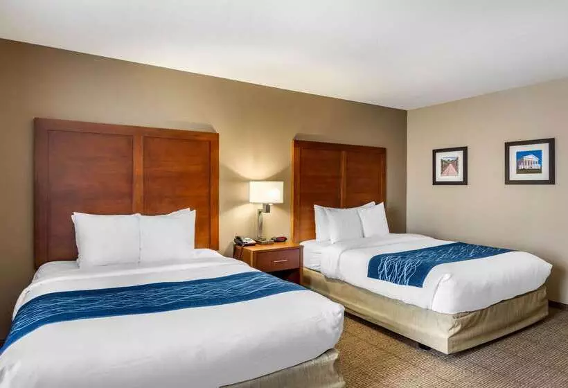 ホテル Comfort Inn South Chesterfield  Colonial Heights