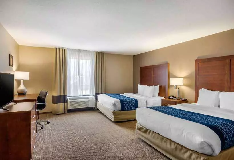 ホテル Comfort Inn South Chesterfield  Colonial Heights