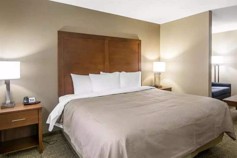 ホテル Comfort Inn South Chesterfield  Colonial Heights