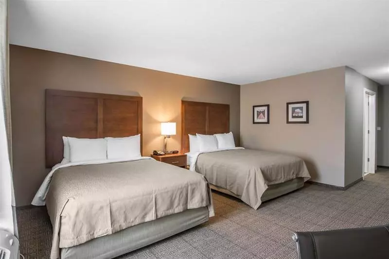 ホテル Comfort Inn South Chesterfield  Colonial Heights