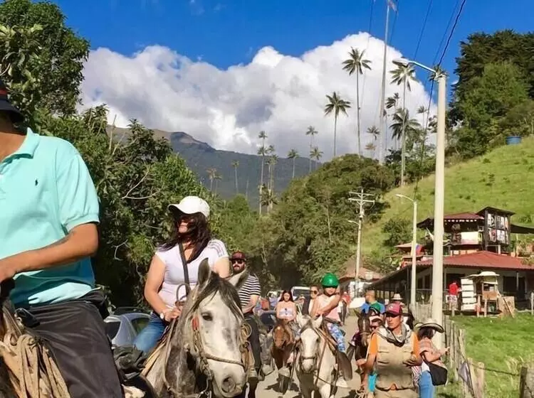 בית מלון כפרי La Terraza