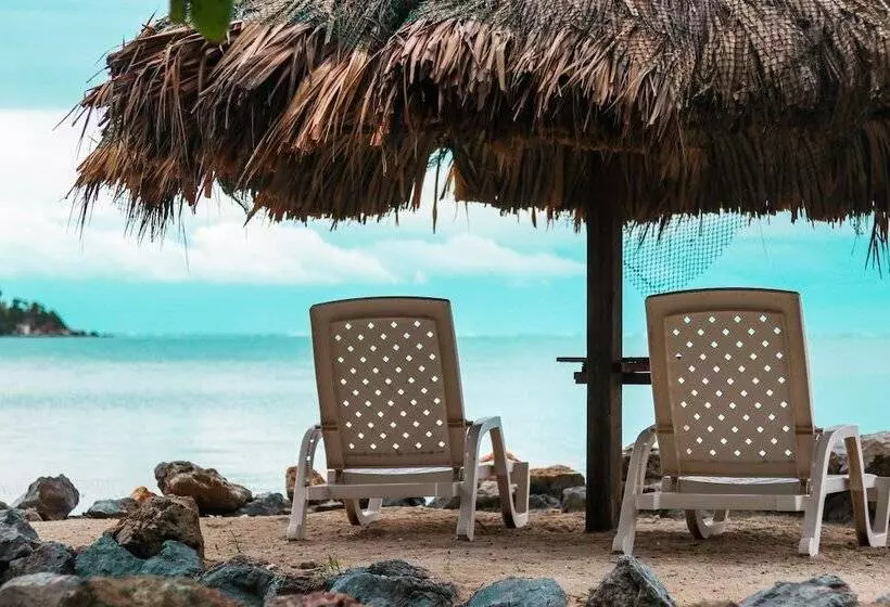 هتل The Resort At Marble Hill