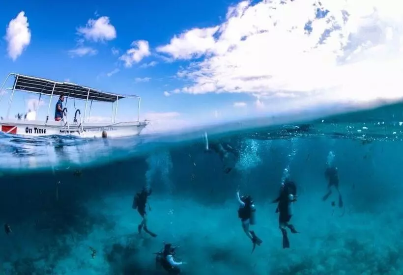 هتل The Resort At Marble Hill