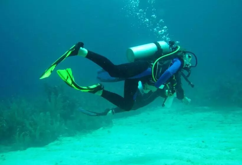 هتل The Resort At Marble Hill