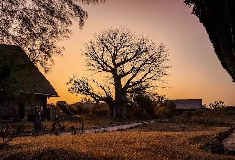هتل Pemba Eco Lodge