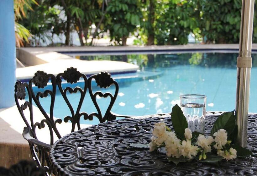 فندق Suites Elia Noemi