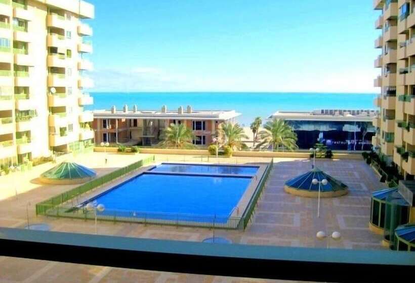 Patacona Green Holiday