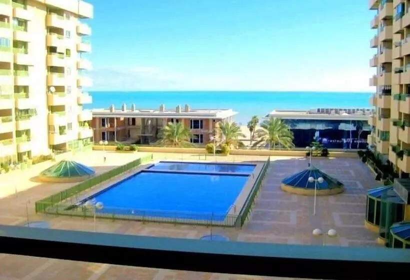 Patacona Green Holiday