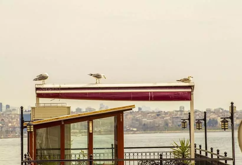 ホテル Blue Zerzevan Konak