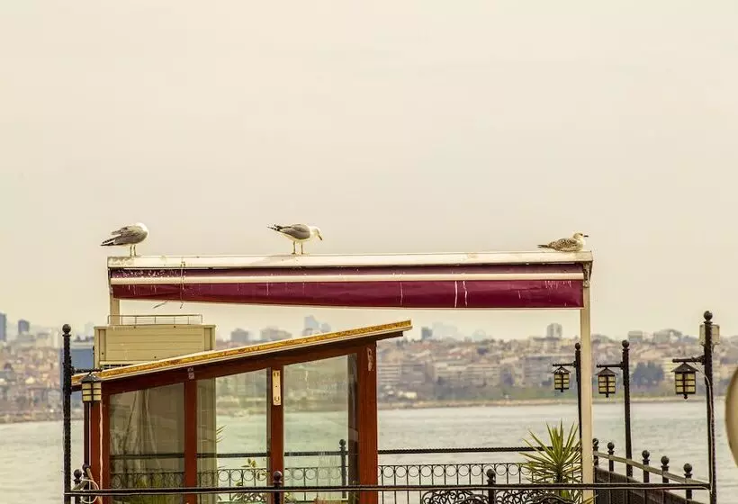 ホテル Blue Zerzevan Konak