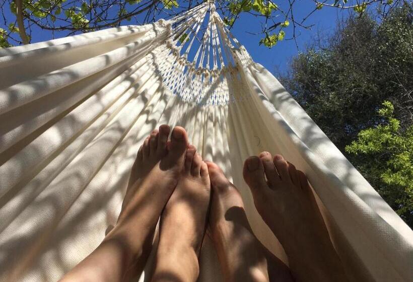 Отель Casa Da Ti Carolina