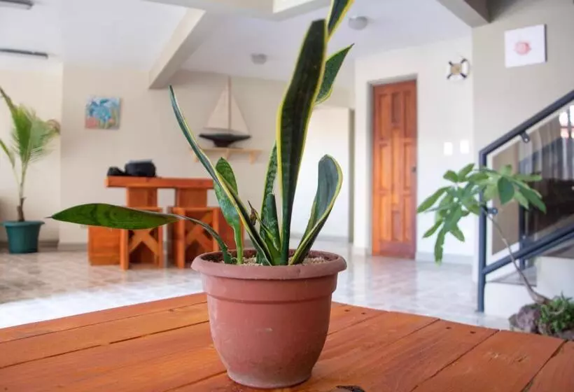 هاستل Las Carmelas, Airport Juan Santamaría, Alajuela, San José