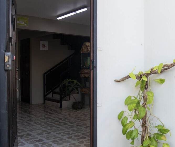 هاستل Las Carmelas, Airport Juan Santamaría, Alajuela, San José