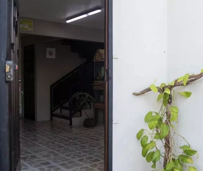 هاستل Las Carmelas, Airport Juan Santamaría, Alajuela, San José