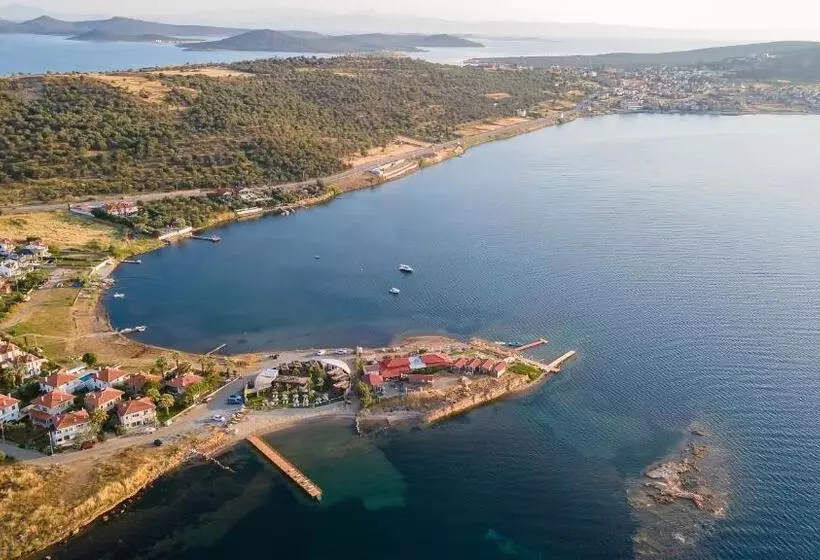 Hotelli Anda Beach Bistro & Rooms