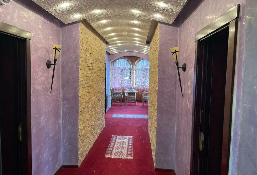 هتل Casa Dunarea By Genco