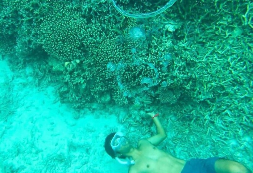 ホテル Rosita S Cottages   Sakura