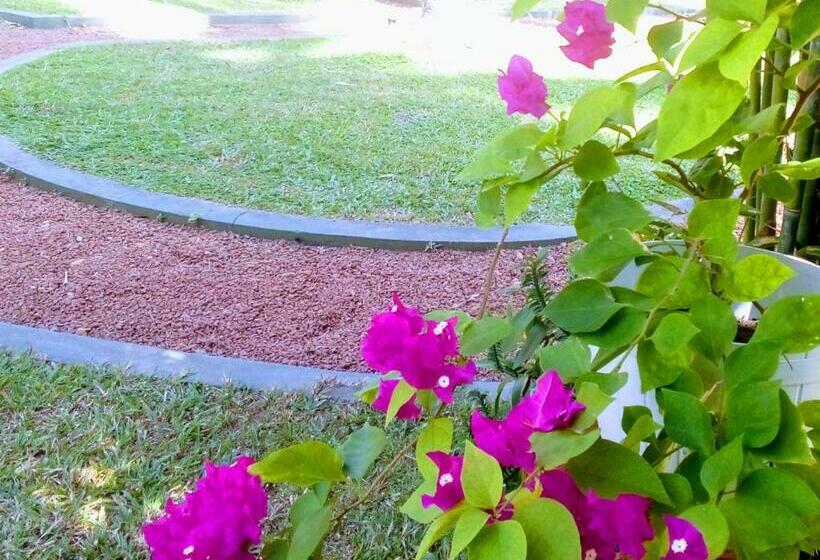 Pensjonat New Coco Cabana