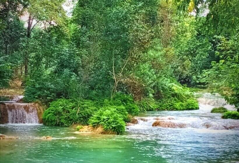 Пансион Room In Cabin   Sierraverde Cabins Huasteca Potosina