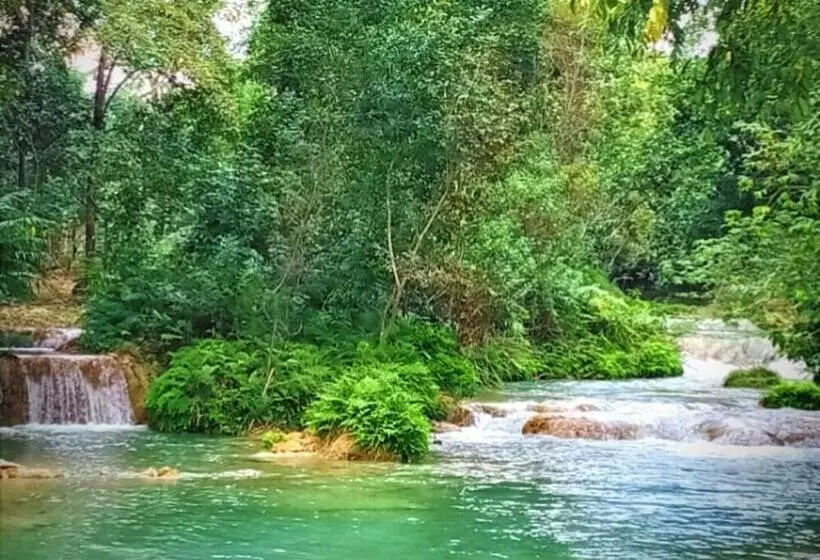 Majatalo Room In Cabin   Sierraverde Cabins Huasteca Potosina