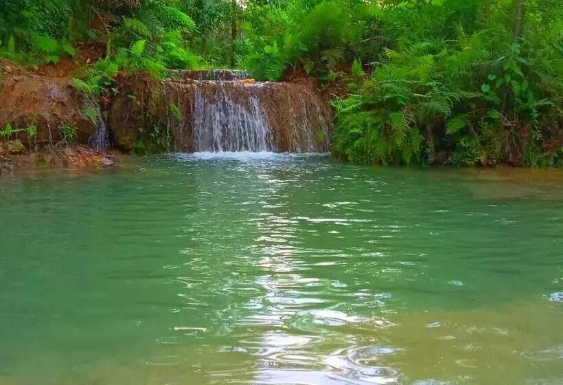 Majatalo Room In Cabin   Sierraverde Cabins Huasteca Potosina