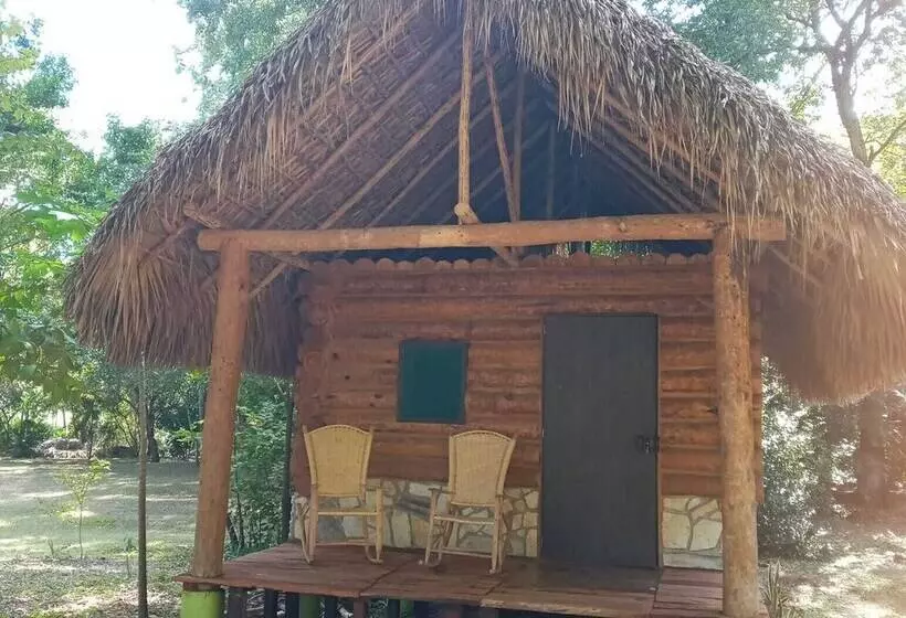Majatalo Room In Cabin   Sierraverde Cabins Huasteca Potosina